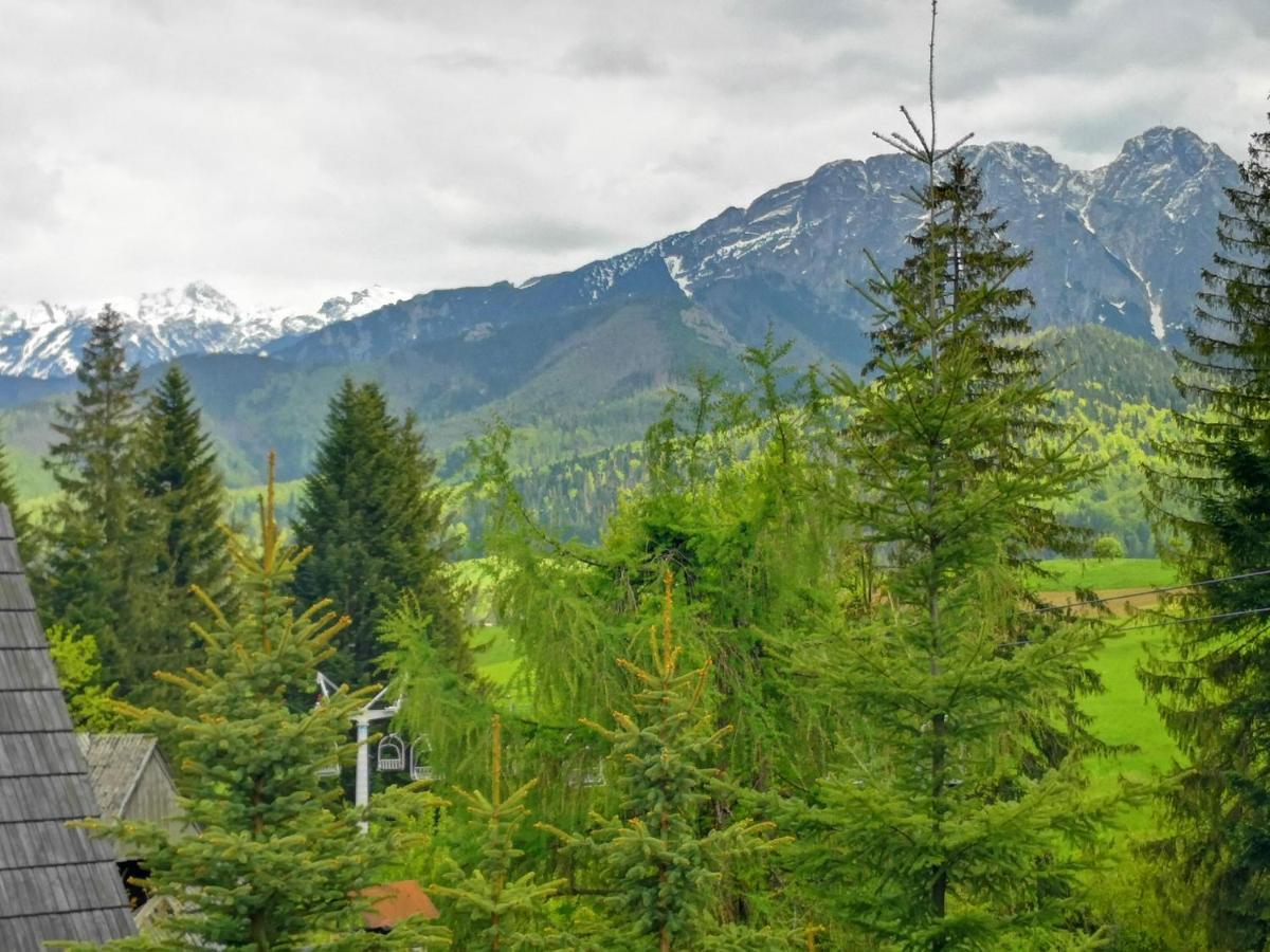Domek Nad Potokiem W Gorach Kościelisko Exterior foto
