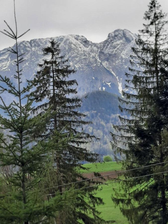 Domek Nad Potokiem W Gorach Kościelisko Exterior foto